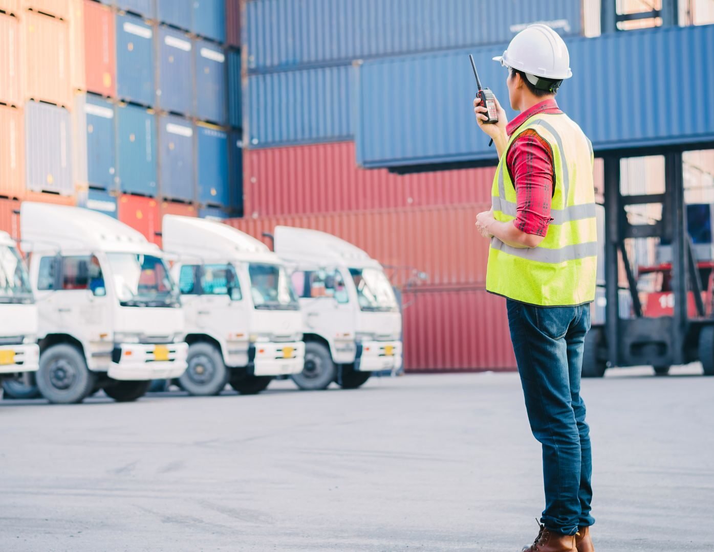 wholesaler vs distributor